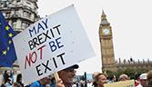 Brexit not exit