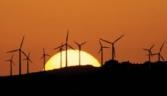 Renewable demand rises as appetite dips